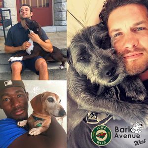 Image post by @iowawild on Instagram