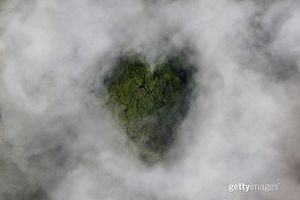 Image post by @gettyimages on Instagram
