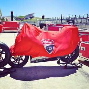 Image post by @cota_official on Instagram