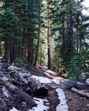 Image post by @st.leal on Instagram