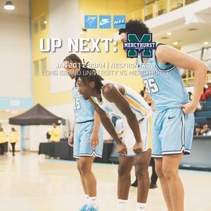 Image post by @liubasketball on Instagram