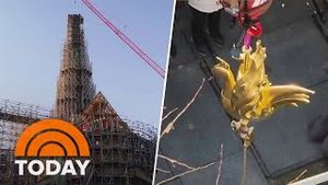 Video post by @today on YouTube