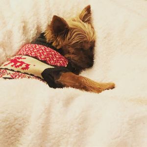 Image post by @melsk8 on Instagram