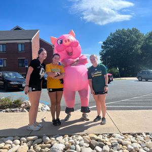 Image post by @gmusoftball on Instagram