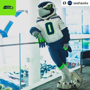 Image post by @blitztheseahawk on Instagram