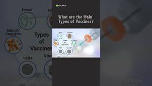 Video post by @nucleusmedicalmedia on YouTube