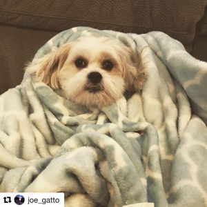 Image post by @impracticaljokersofficial on Instagram