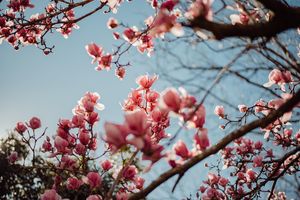 Image post by @sydneybphotography on Instagram
