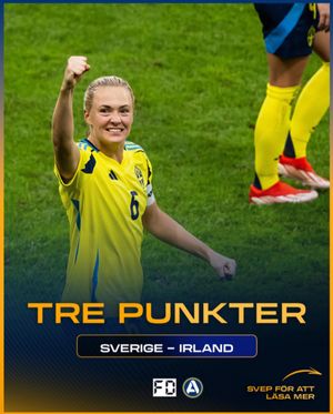 Image post by @fotbolldirekt on Instagram