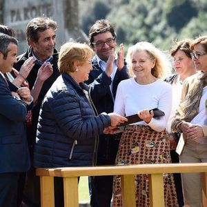 Image post by @leonardodicaprio on Instagram