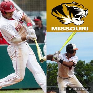 Image post by @rawlingstigers on Instagram