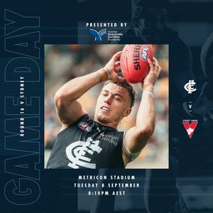 Image post by @carlton_fc on Instagram