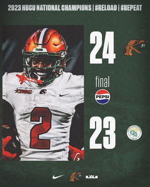 Image post by @famufb on Instagram