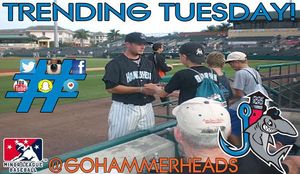 Image post by @gohammerheads on Instagram