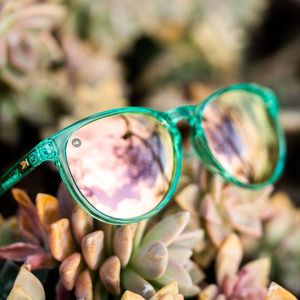 Image post by @knockaround on Instagram