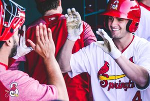 Image post by @springfield_cardinals on Instagram
