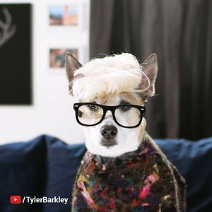 Image post by @youtube on Instagram