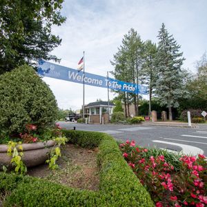 Image post by @hofstrau on Instagram