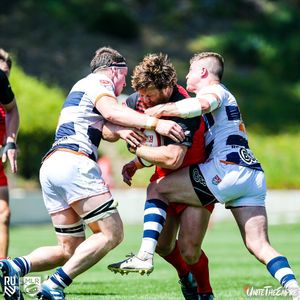 Image post by @rugbynewyork on Instagram