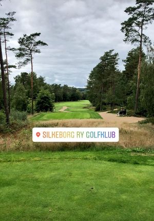 Image post by @Thorbjornolesen on Twitter