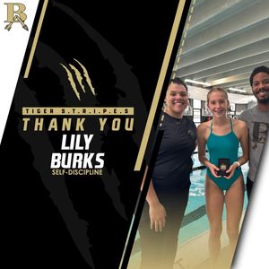 Image post by @batigersports on Instagram