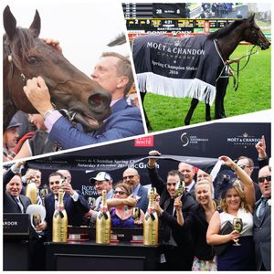 Image post by @australianturfclub on Instagram