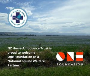 Image post by @NZHorseAmbulanceTrust on Facebook