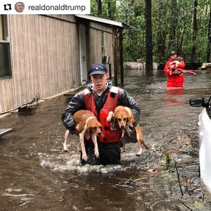 Image post by @laraleatrump on Instagram