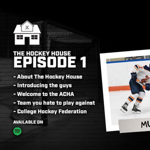 Image post by @hockeyhousepod on Instagram