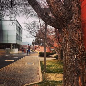 Image post by @nauflagstaff on Instagram