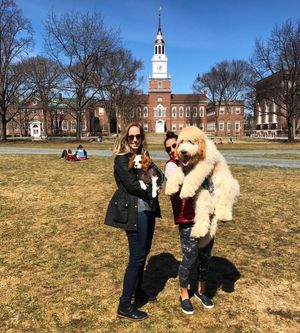 Image post by @tuckschool on Instagram
