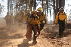 Image post by @USArmy on Twitter