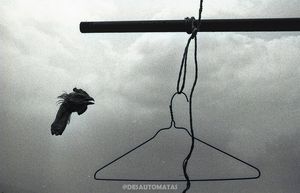 Image post by @desautomatas on Instagram