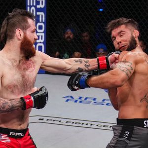 Image post by @pflmma on Instagram