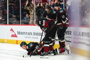 Image post by @arizonacoyotes on Twitter