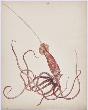 Image post by @drawingcenter on Instagram