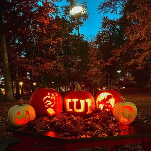 Image post by @iupedu on Instagram