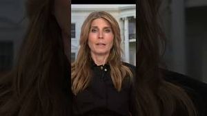 Video post by @msnbc on YouTube