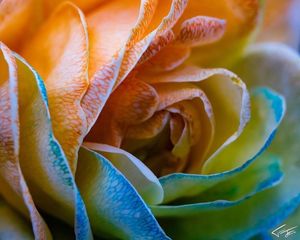 Image post by @fotodioxpro on Instagram