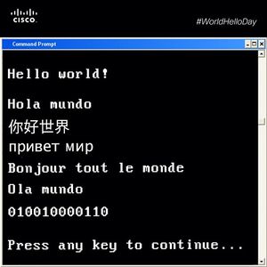 Image post by @cisco on Instagram