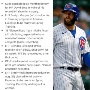 Image post by @chicagocubsnation on Instagram