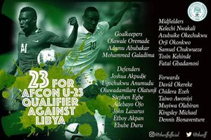 Image post by @nigeriaolympic on Instagram