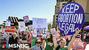 Video post by @msnbc on YouTube