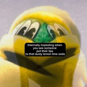 Image post by @starrylemonlime on TikTok