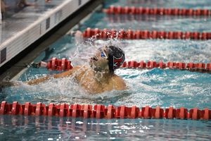 Image post by @lcunninghamcamera on Instagram