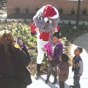 Image post by @carolinamudcats on Instagram