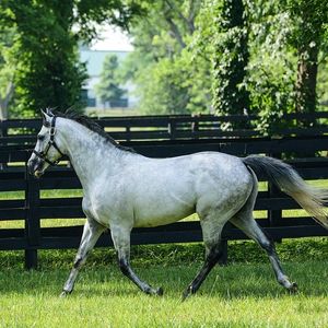Image post by @spendthriftfarm on Instagram