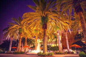 Image post by @univmiami on Instagram