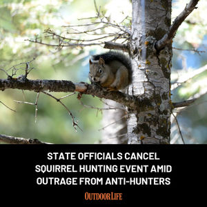 Image post by @outdoor_life on Instagram