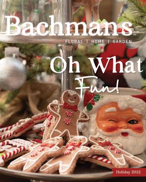 Image post by @shopbachmans on Instagram